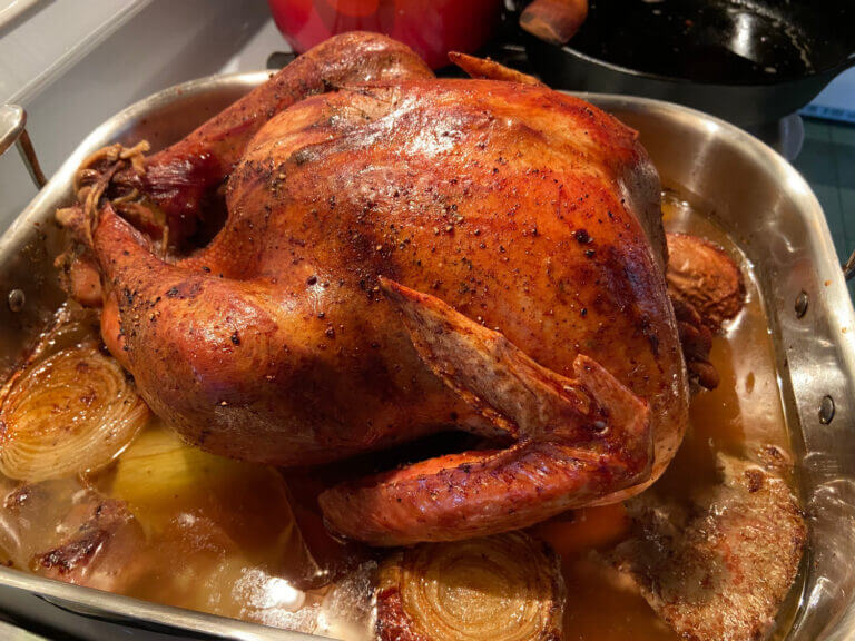 Are wild turkeys good to eat