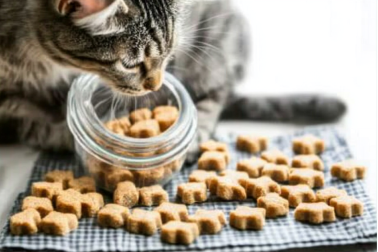 These homemade salmon cat treats are a delightful and healthy snack for your furry friend.